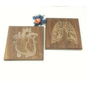 Heart Doctors Office Lung Pair Wall Plaques Walnut